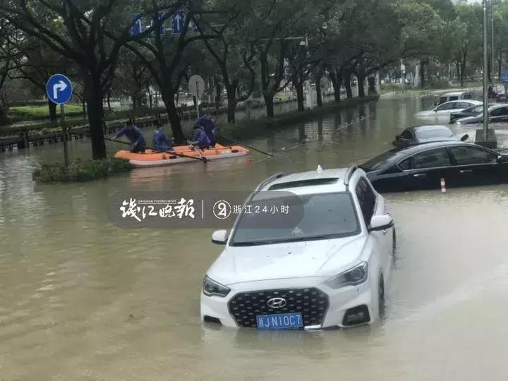 西湖60年大树被连根拔起,西湖大树被淹断电