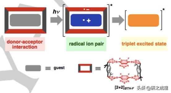 鍌寲蹇姤鏈熷垔,鍌寲鏉傚織灏侀潰