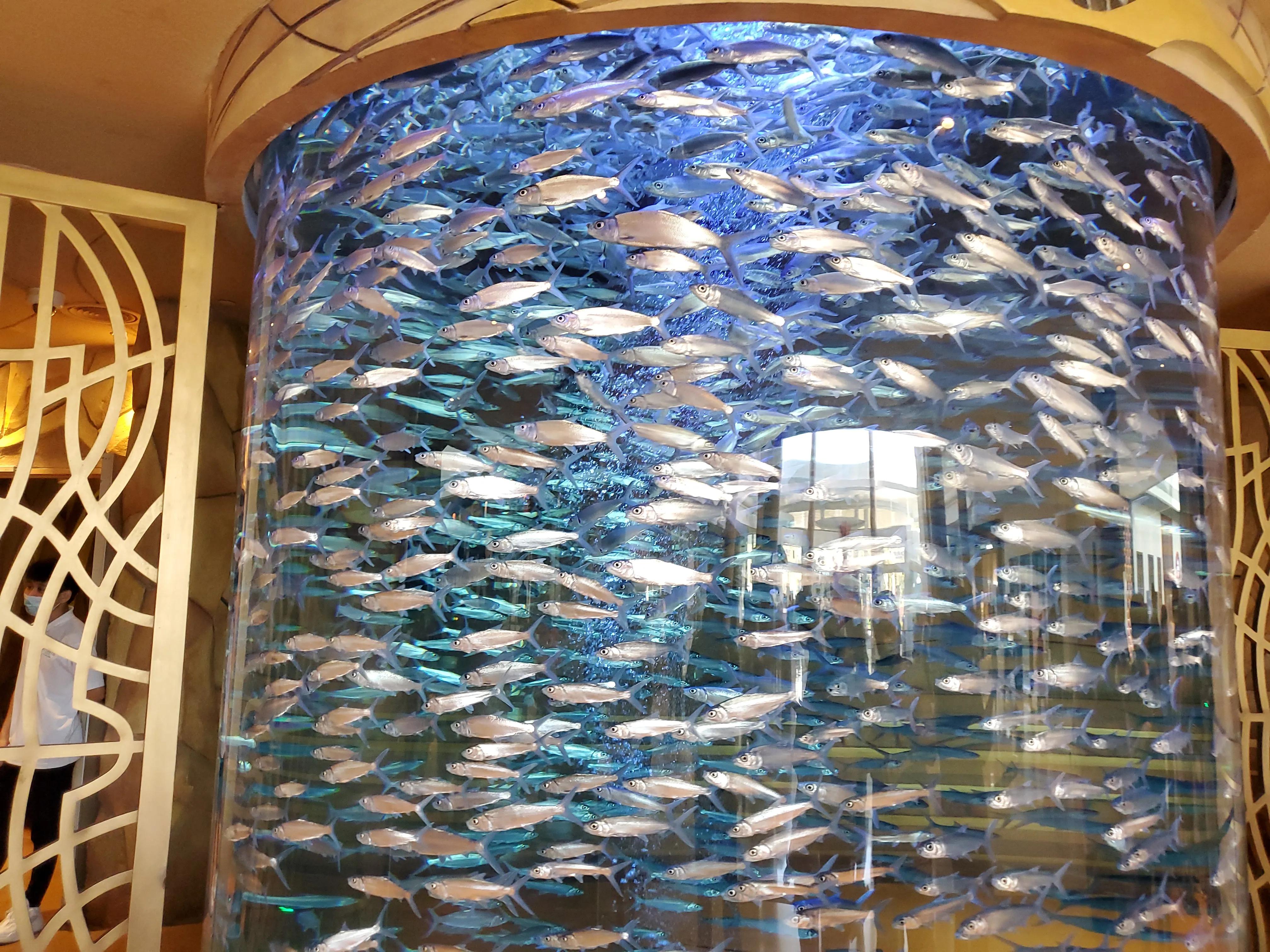 这个冬天我就要去旅行,来三亚享受着冬天里的夏天吧