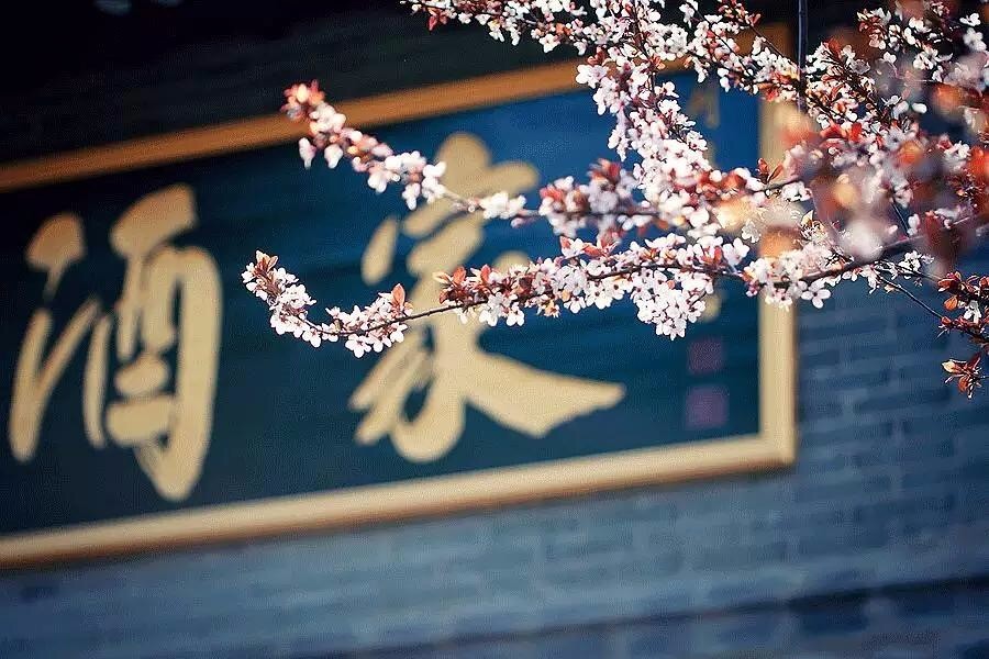 春分至万物生愿君莫负好时光图片,春分至莫负好春光是什么意思