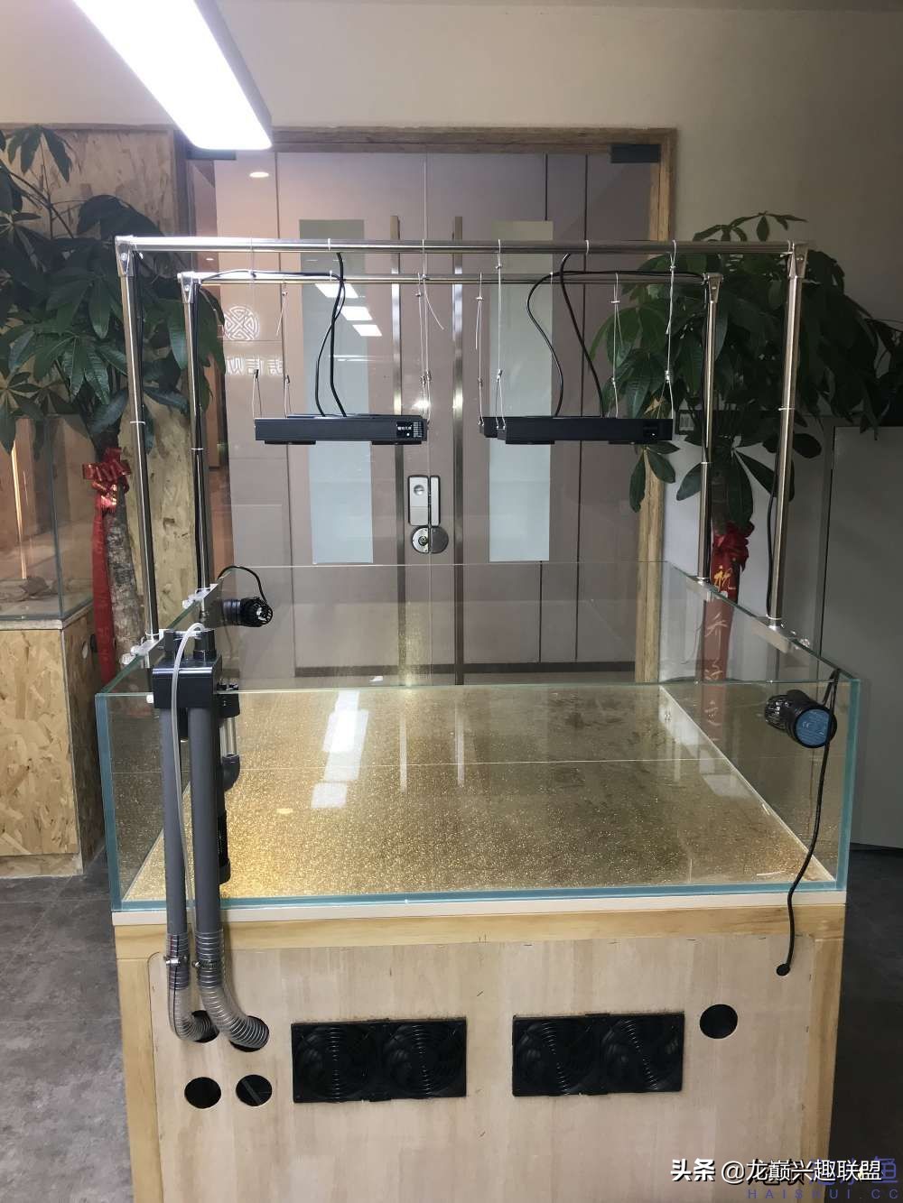 从零开始玩海缸的方法,从零开始玩海缸全过程