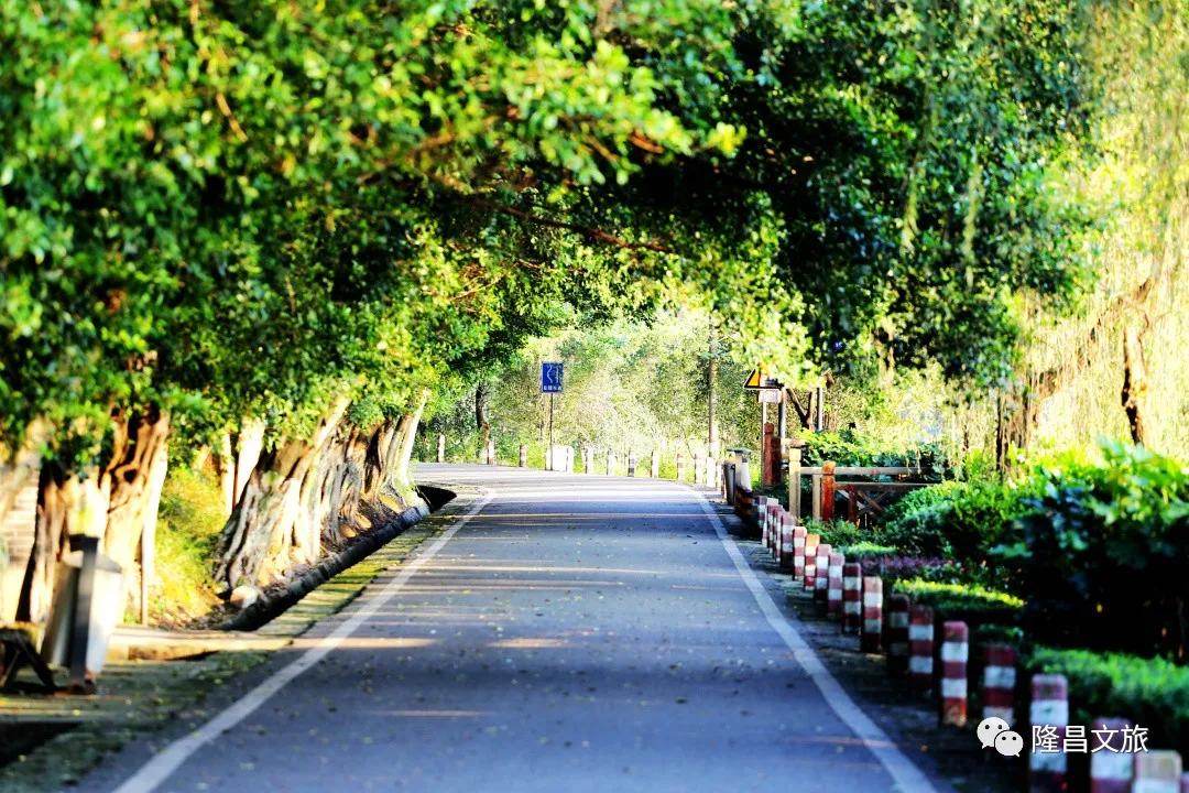 隆昌春光旅游攻略,春光正好多去户外活动
