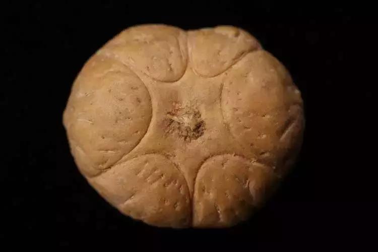 菩提最值得入手的几种,十种不能玩的菩提