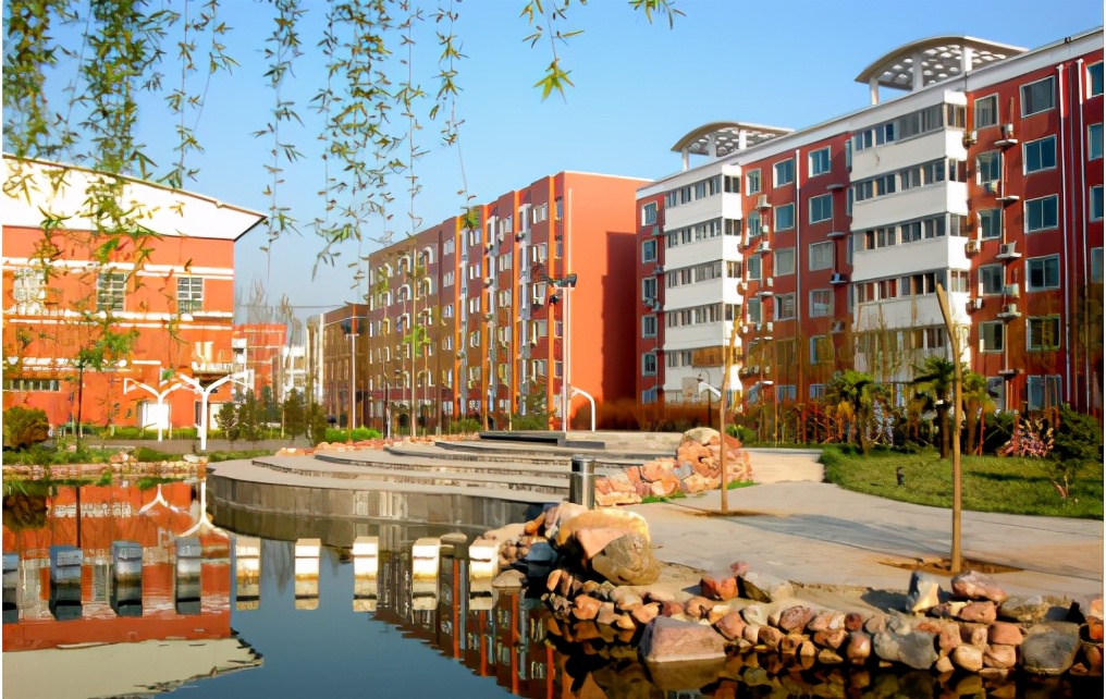 同样是当老师，私立、公立、机构各有哪些利弊，求职请慎重