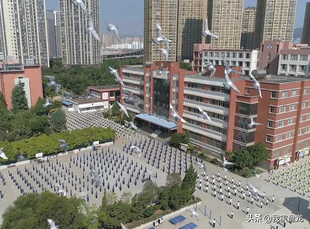 昆明昆11中的升学率,昆明盘龙高中