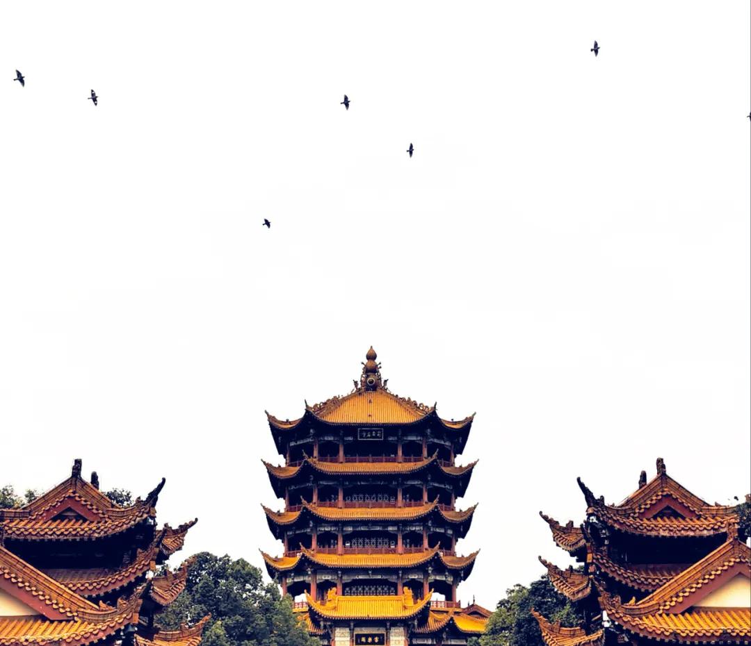 李子柒家乡成旅游景点,李子柒乡愁