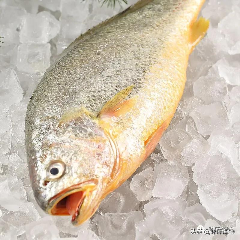 海鱼为什么有的咸有的不咸,海鱼喝海水不觉得咸吗