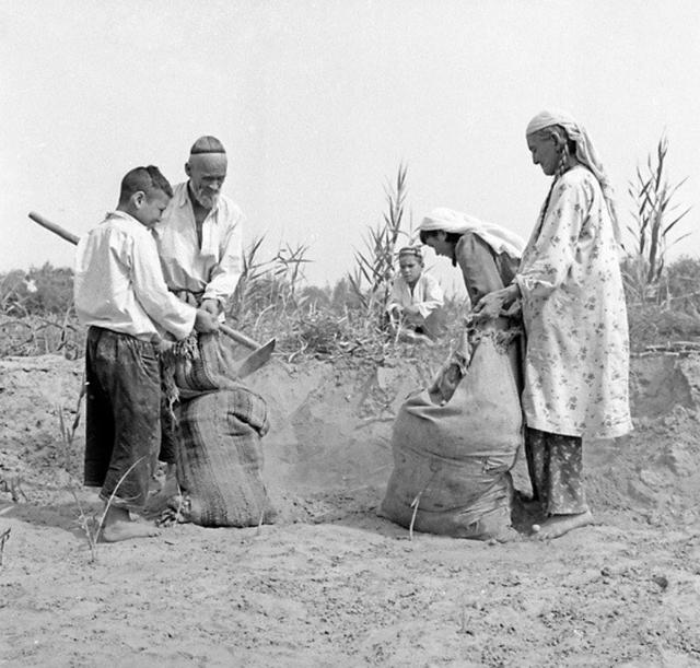 1956年，那位骑着毛驴去北京见毛主席的*疆新**老农，最后见到了吗？