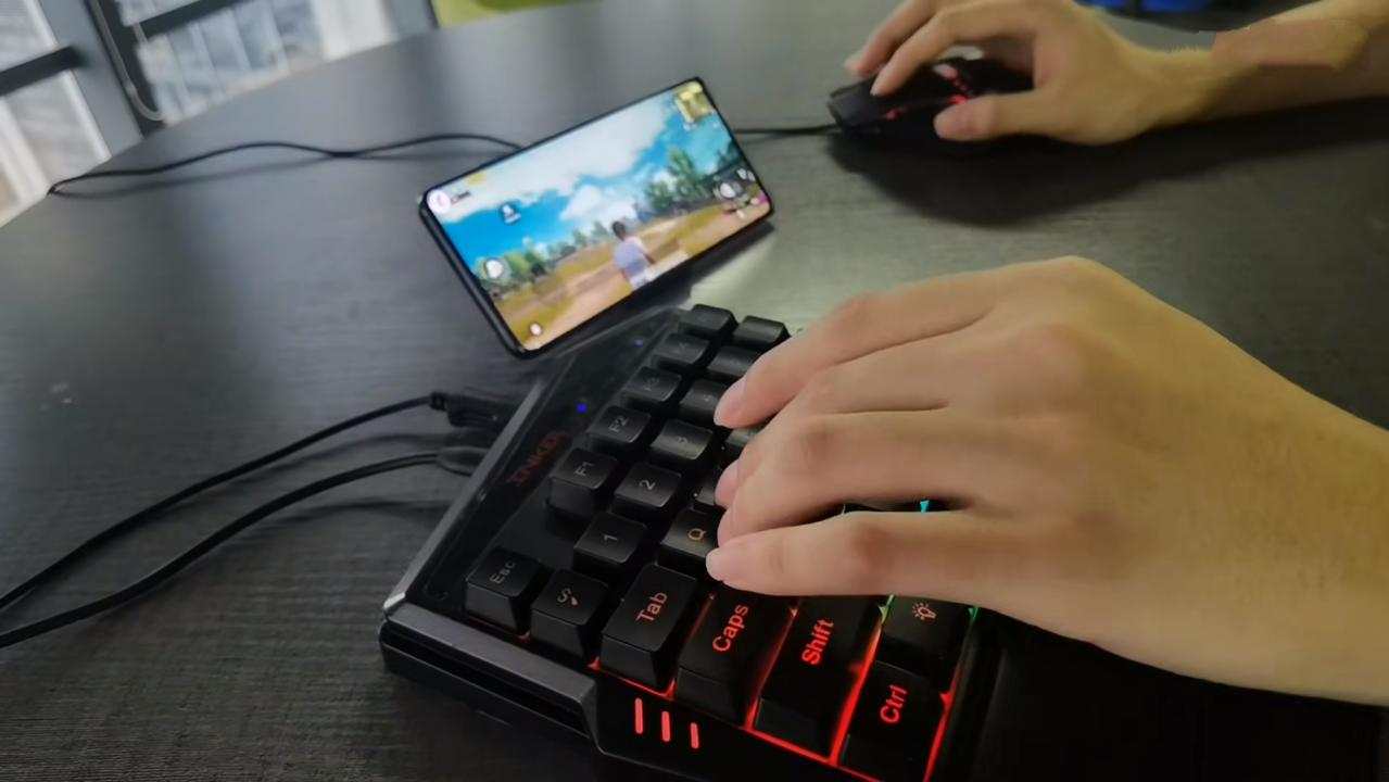 蜂刺吃鸡王座,蜂刺和王座