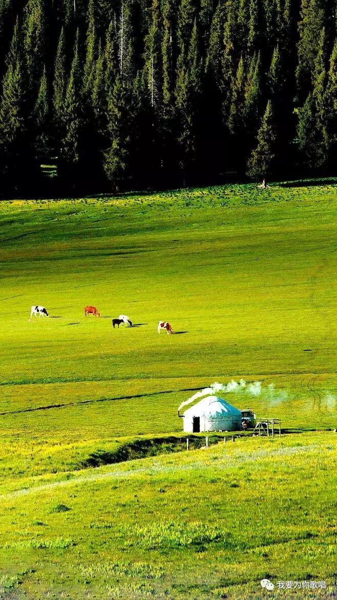 《美丽*疆新**》（“我要为你歌唱”十一月赛三等奖毛毛虫倾情献唱）