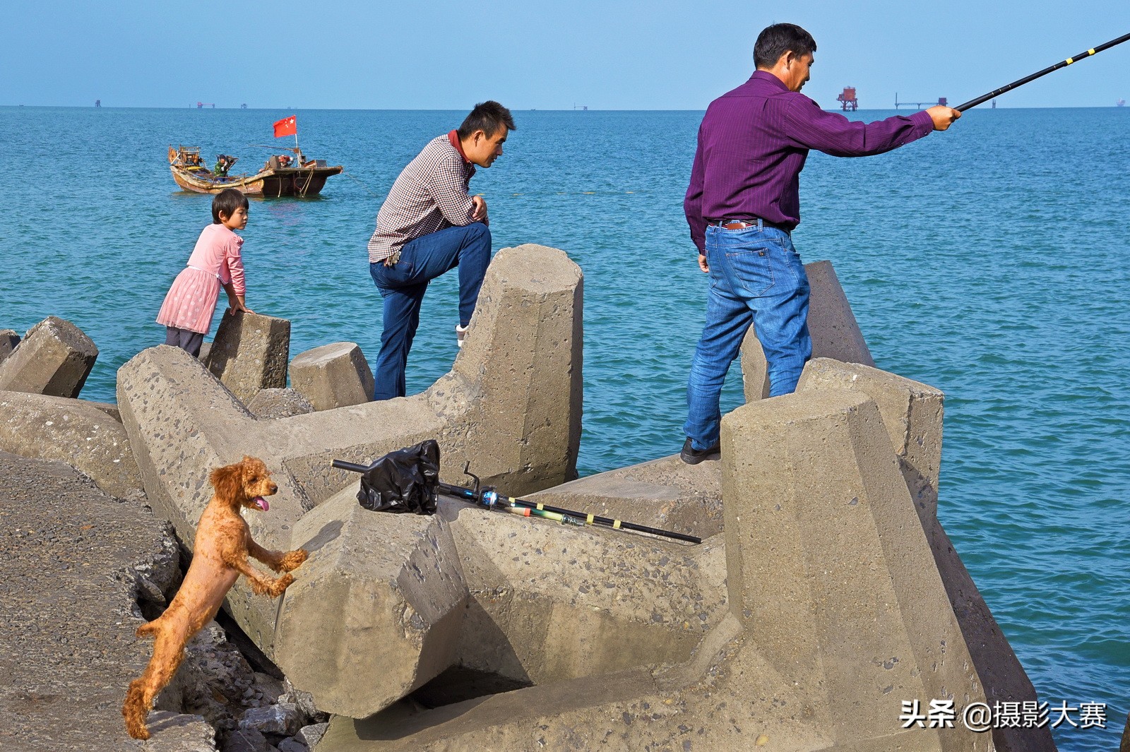 尼康摄影大赛什么时候开始,2023尼康摄影大赛官方网站