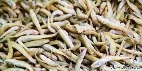 100种不同名字的海鲜,10种常见海鲜大全