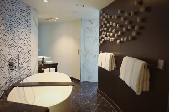 皇家加勒比海洋量子号攻略,皇家加勒比赞礼号邮轮旅游攻略