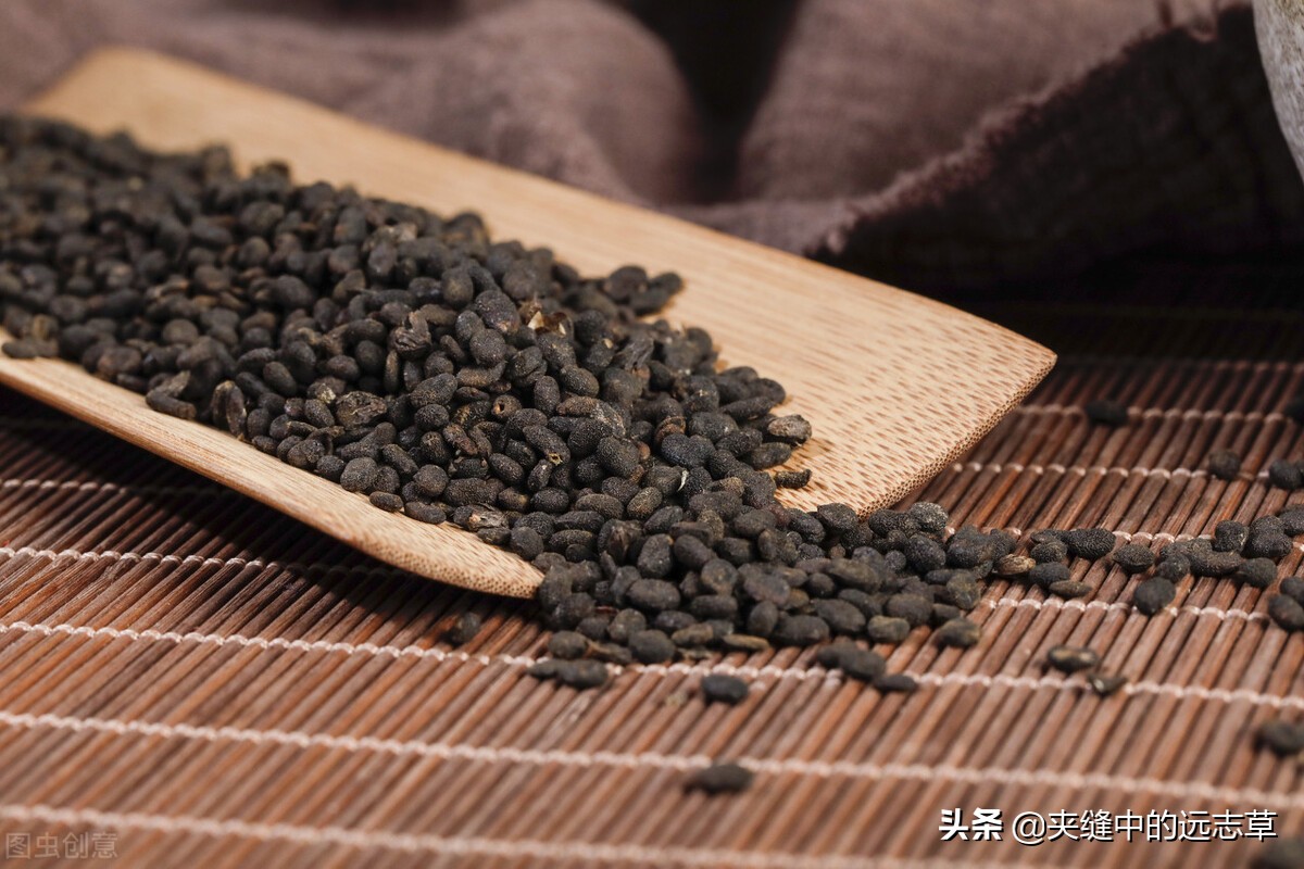 中医骨质疏松吃什么中草药,中医骨质疏松中药调理方法