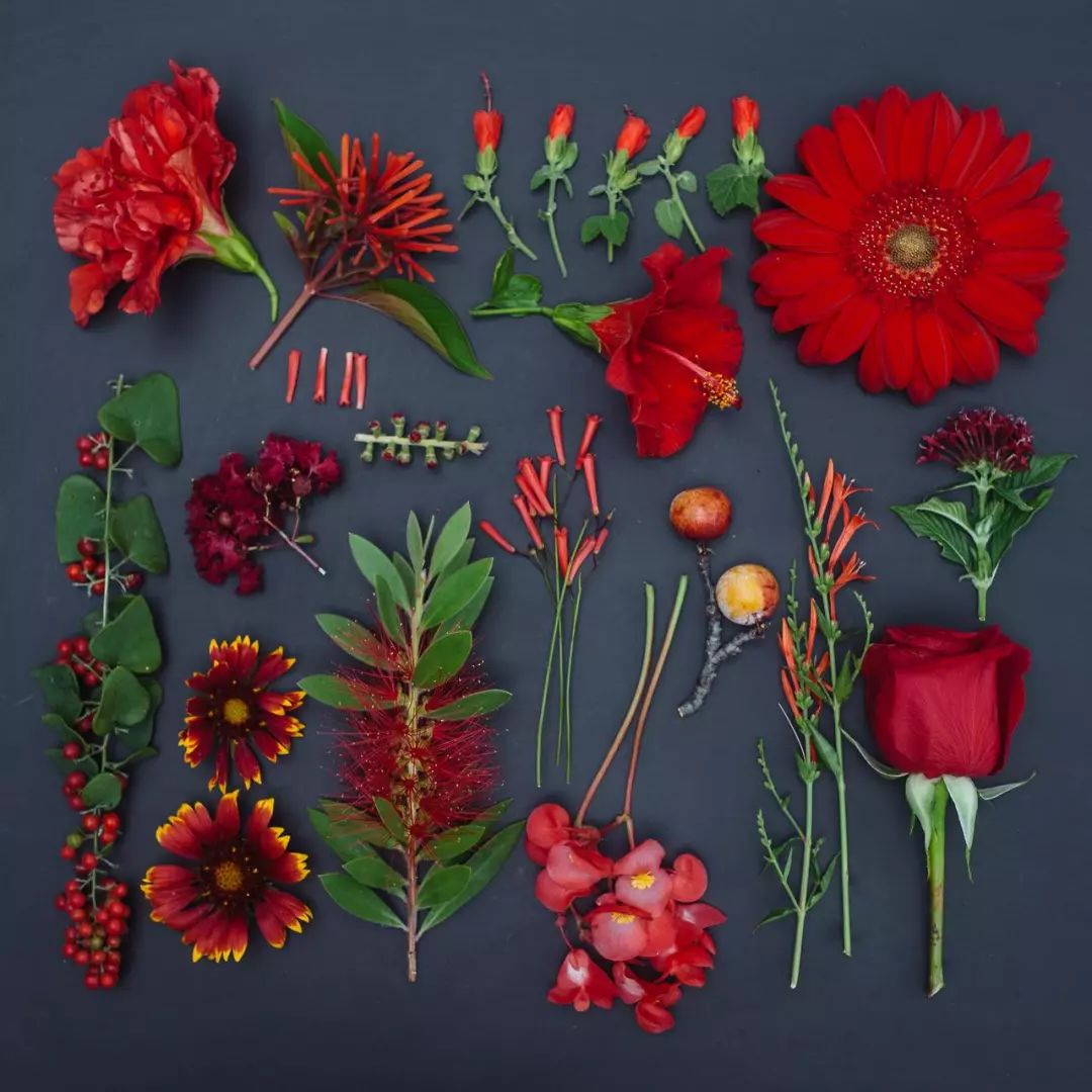 造福强迫症患者——EmilyBlincoe告诉我们的关于色彩排列的秘密