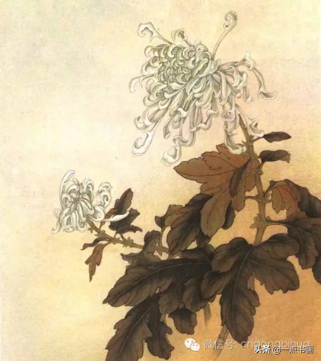 工笔画菊花入门教程步骤图,黄色工笔菊花的上色过程