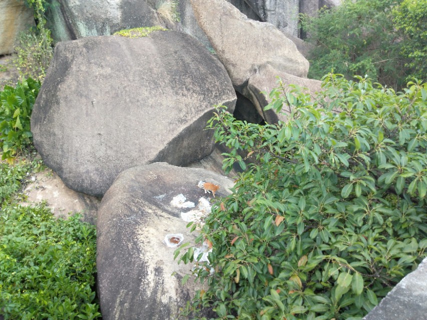 珠海的特色是什么,珠海的吉大是什么