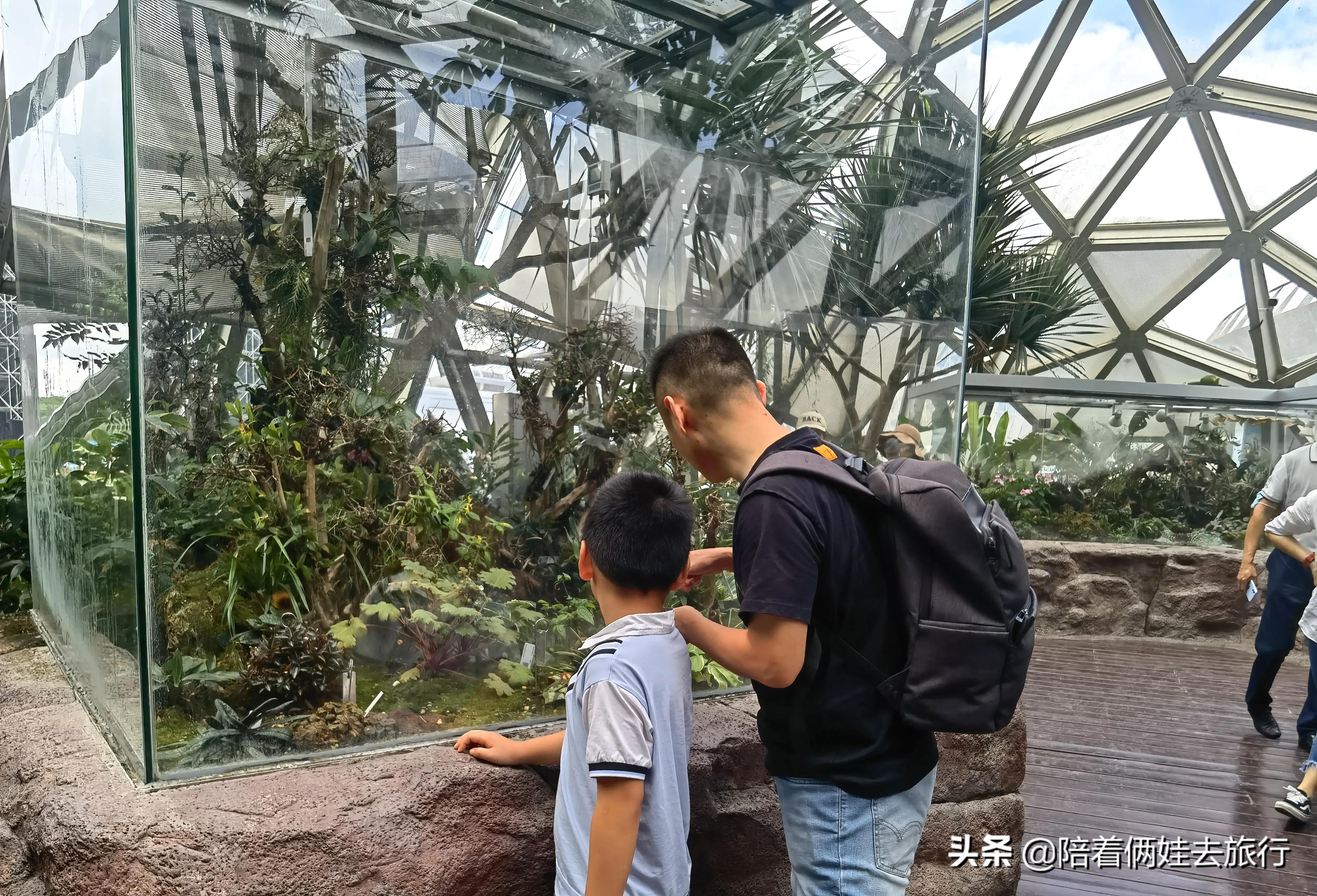 上海辰山植物园矿坑花园,辰山植物园矿坑花园修好了吗