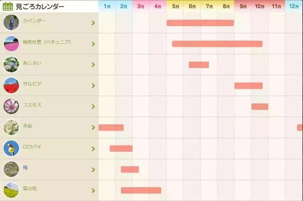 日本农场营收10亿经营秘诀,日本妈妈牧场怎么运营