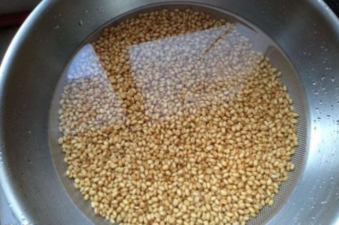 小鲫鱼钓大鲫鱼,小鲫鱼成群怎么钓