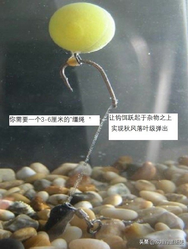 钓鱼为何都是小鱼,钓鱼不咬钩的多种原因和应对技巧