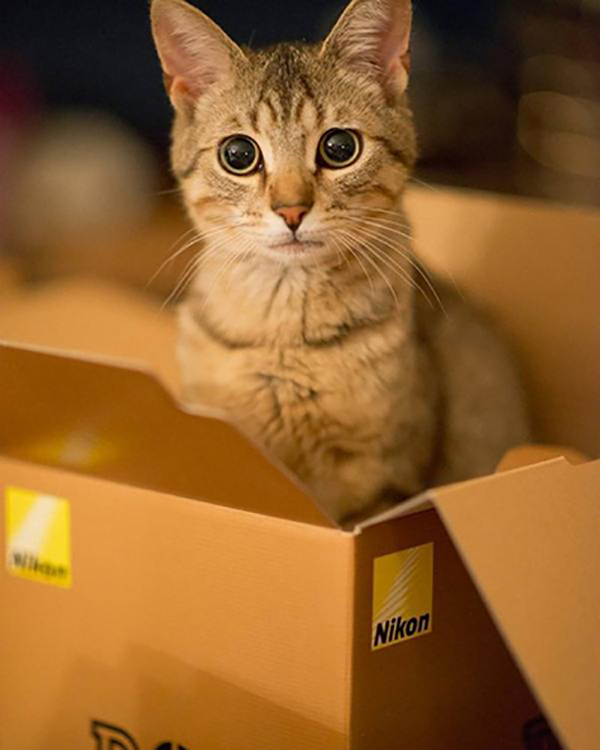 录屏视频上传抖音变模糊怎么解决,影视剪辑高清上传抖音就模糊了