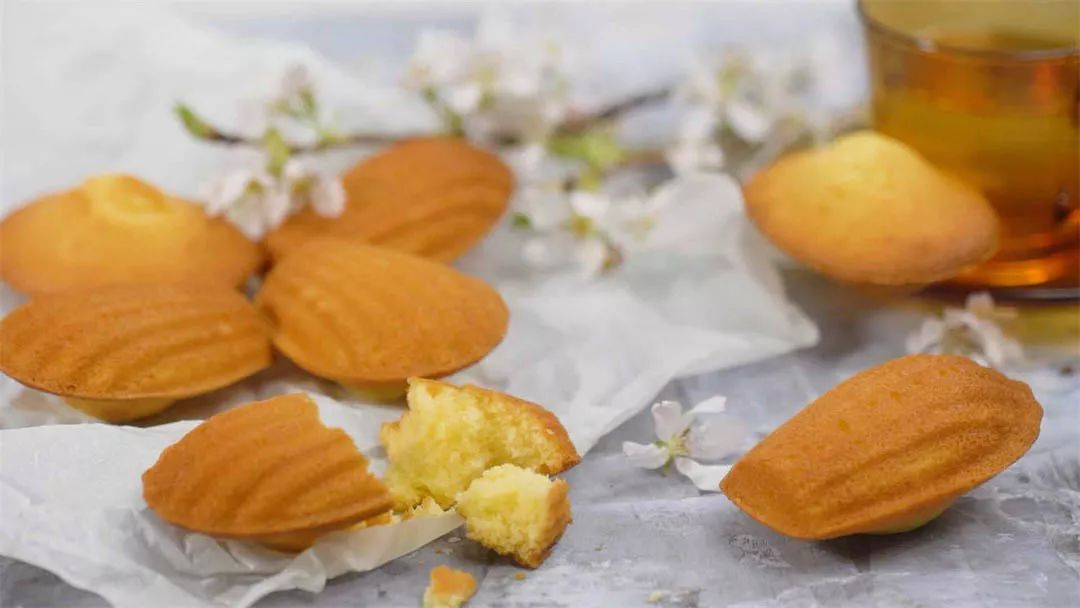 鐜涘痉鐞冲皬璐濆３铔嬬硶,灏忚礉澹崇帥寰风惓缇庨