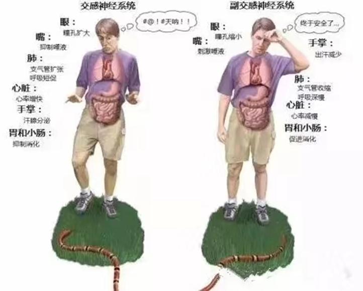 催眠疗愈心理创伤,《心理治疗》催眠