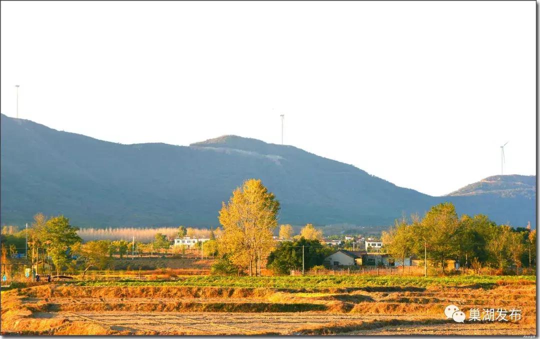 巢湖市半汤,半汤怎么做