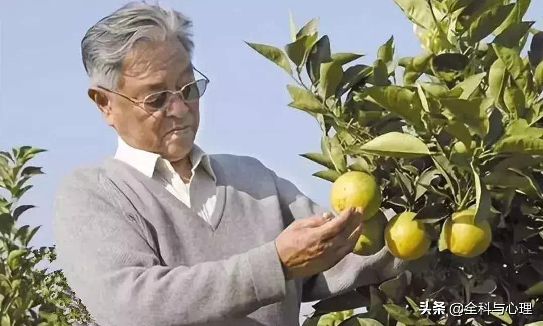 佛说你所有的福气都藏在脾气里,所有得失皆是报应