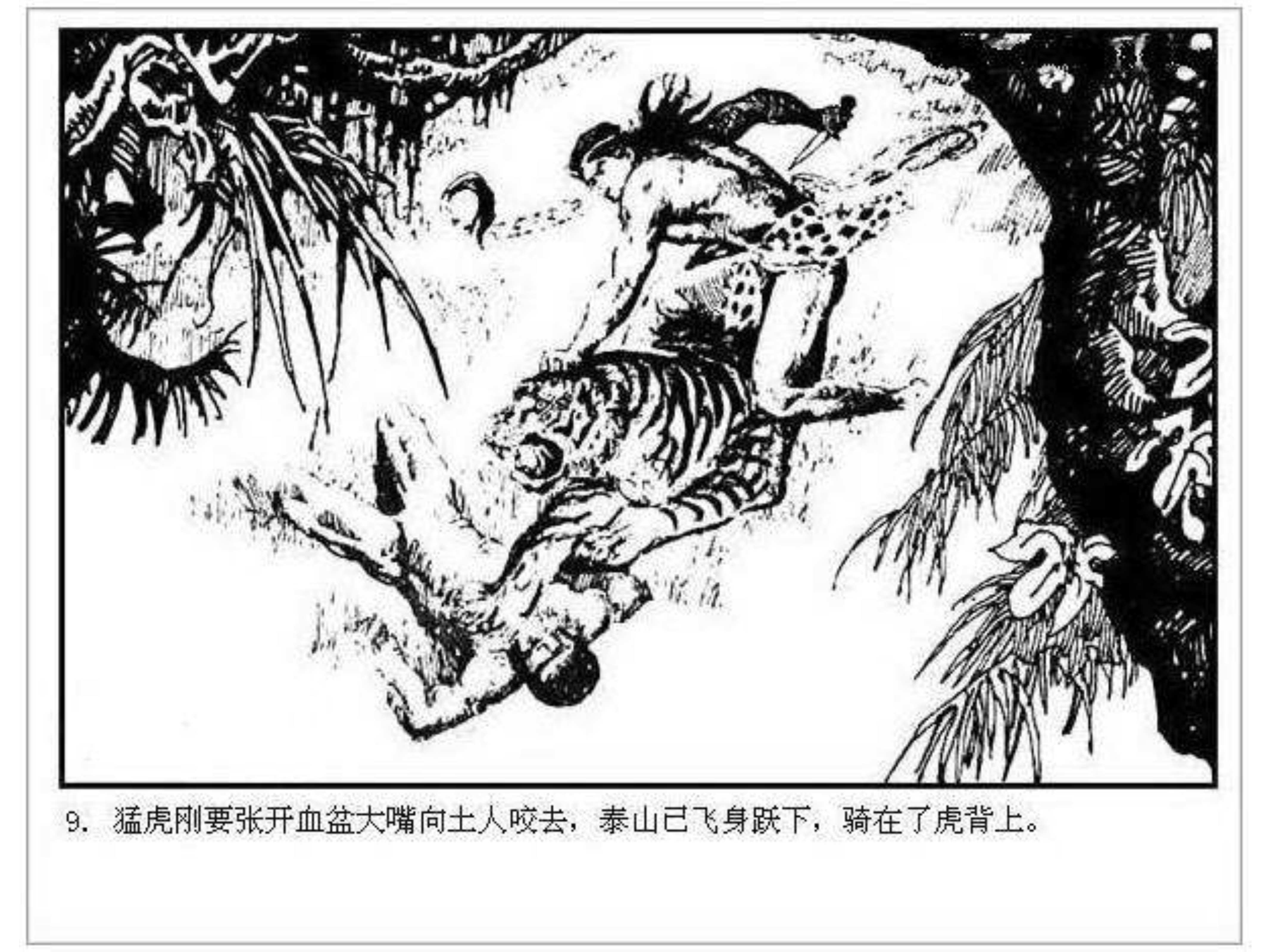 人猿泰山卡通画,连环画泰山凯旋钱贵荪绘