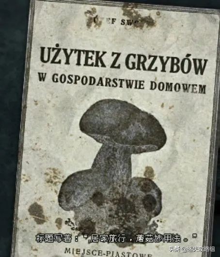 阴暗森林游戏的背景,阴暗森林游戏解析