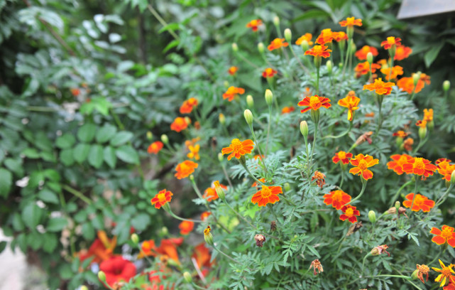 十二星座心情不好怎么宣泄,十二星座情绪低落时