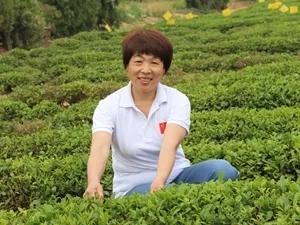 最美农村女致富带头人,最美巾帼脱贫攻坚人候选人材料