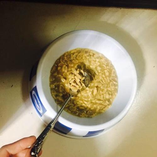 狗狗经常吃完饭吐出来,狗狗经常吃了饭喝了水吐