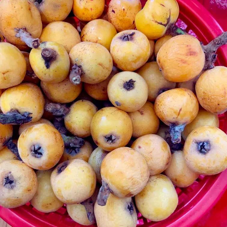 江浙沪怎么从口音辨别,如何一眼看出江浙沪