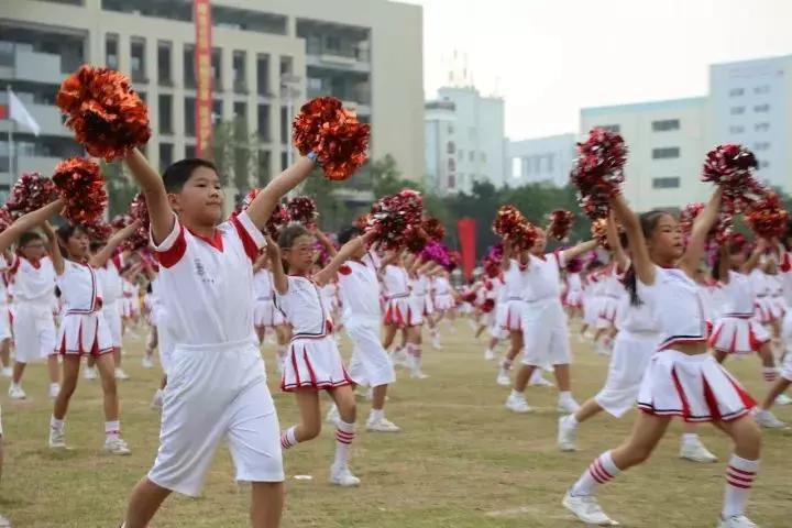 书香小学在龙华新区排名怎么样,深圳龙华书香小学好吗