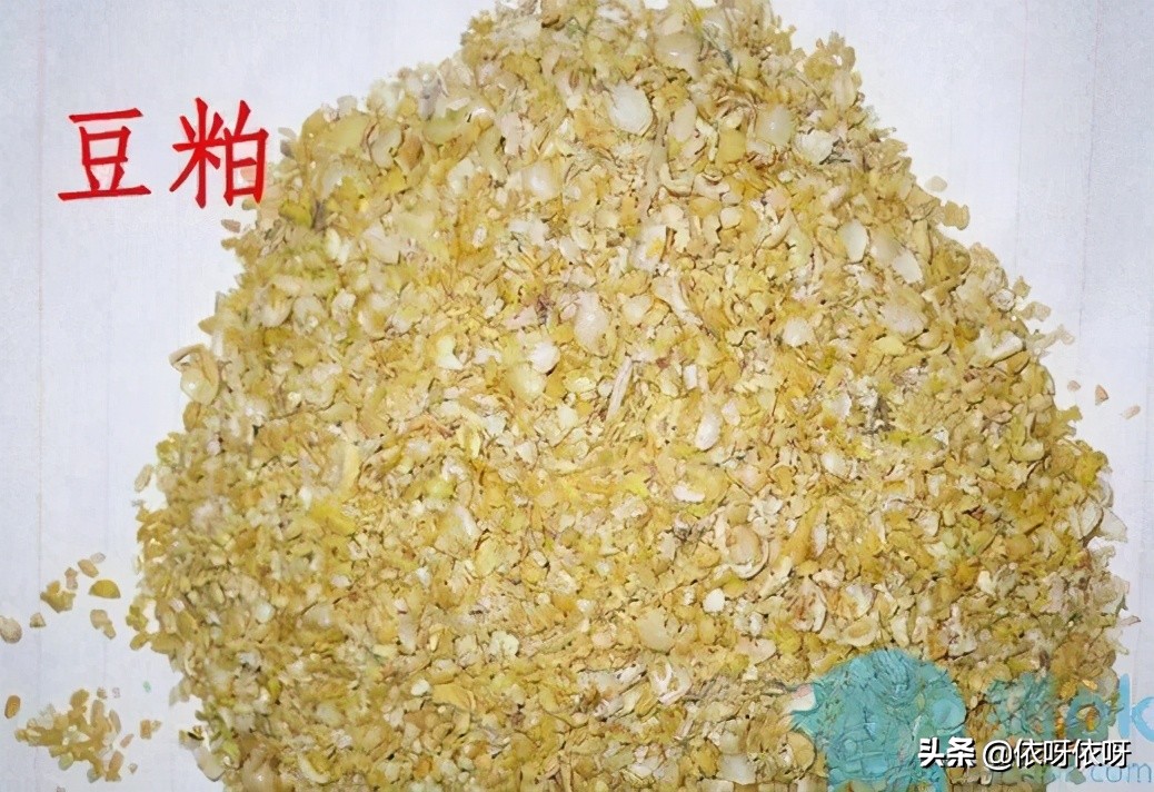 豆粕期货季节性规律,期货豆粕基本面分析哪几个方面的