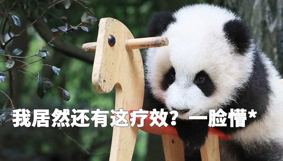 外国人到底有多喜欢熊猫啊,外国人真的很爱熊猫吗