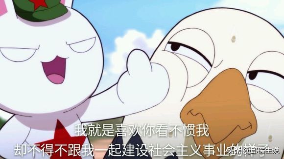 在减肥圈里有一群“兔子”，她们不喜欢吃草，只喜欢自残式催吐