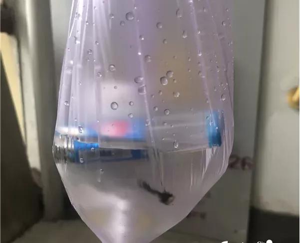 棉签烧睫毛有啥征兆,棉签加热烫睫毛