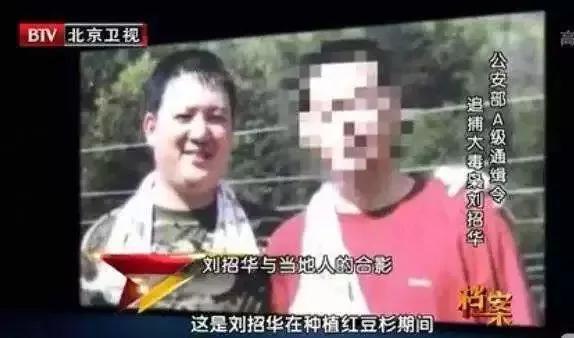 中国绝命毒师一口气看完,中国版绝命毒师解说