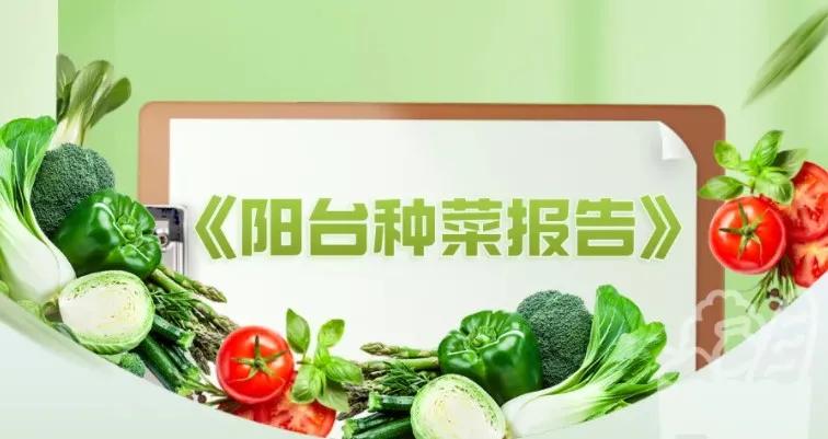 阿里研究院13个问题,阿里研究院最新分析