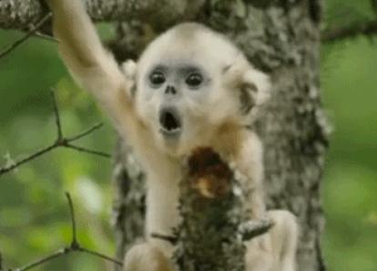 大姨妈迟到心烦意乱怎么调整,大姨妈经常提前的原因