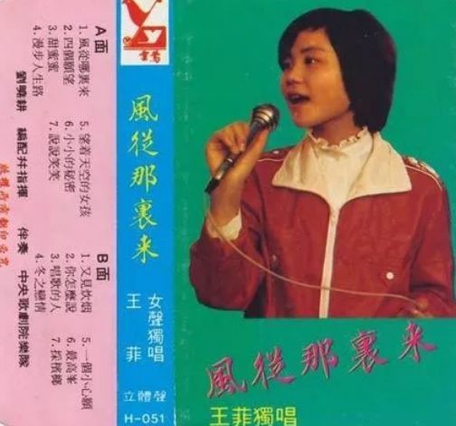 王菲和窦唯目前的关系,王菲最疯狂的一次恋爱