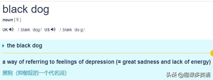 鑰佸璇磞ouare,澶栧浗浜鸿youareanimals
