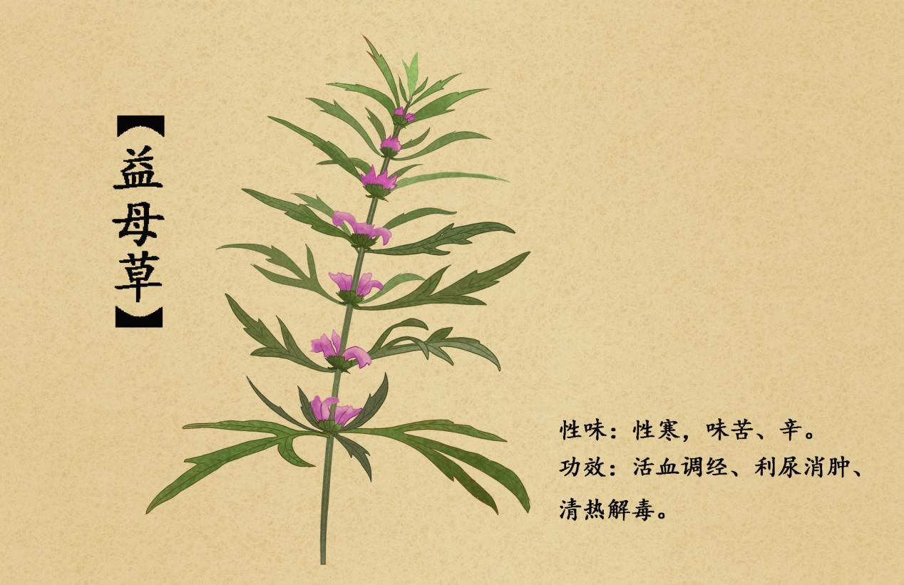 气血不够如何补气血,气血不够要吃什么来补气血