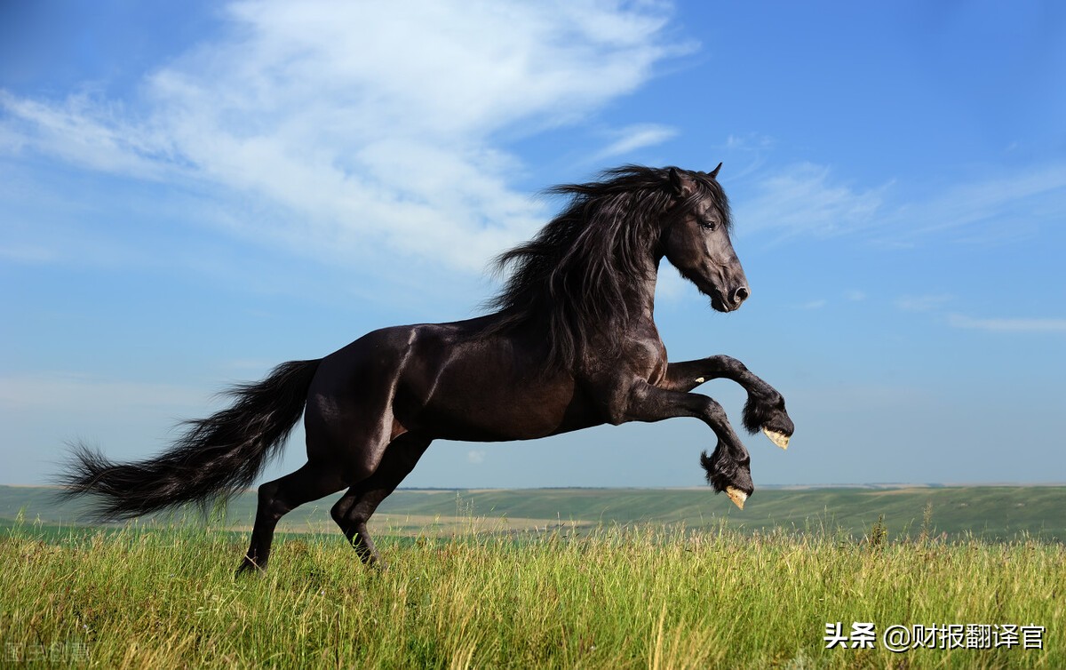 中国风电市场占有率第一企业,国内十大风电企业排名