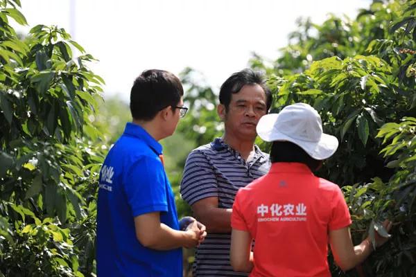 农业托管的新模式,农业托管的十种模式