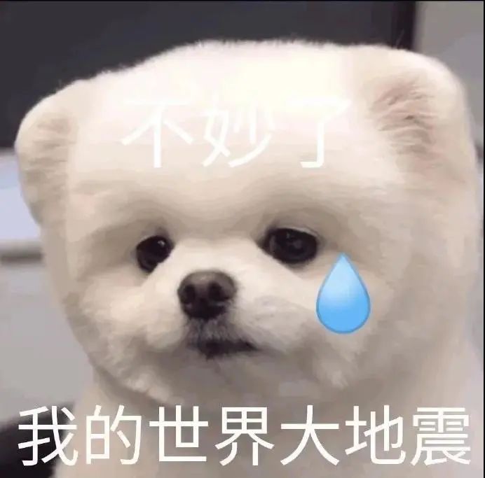 紫薇眼睛瞎了被火箭治好,紫薇眼睛失明被火箭治好